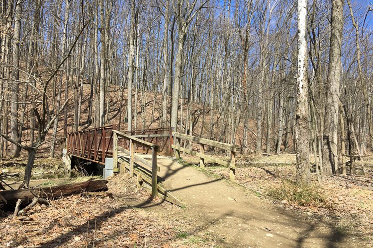 <span class="content-image-text">Several pedestrian bridges cross West Creek throughout this hike.</span>