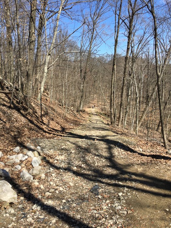 A view from the trail.