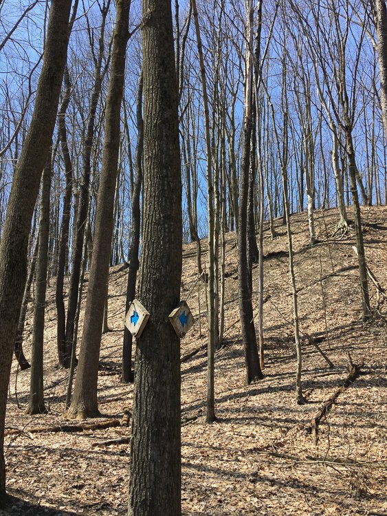 Wasn't it the Scarecrow who said, "Of course, people do go both ways"?