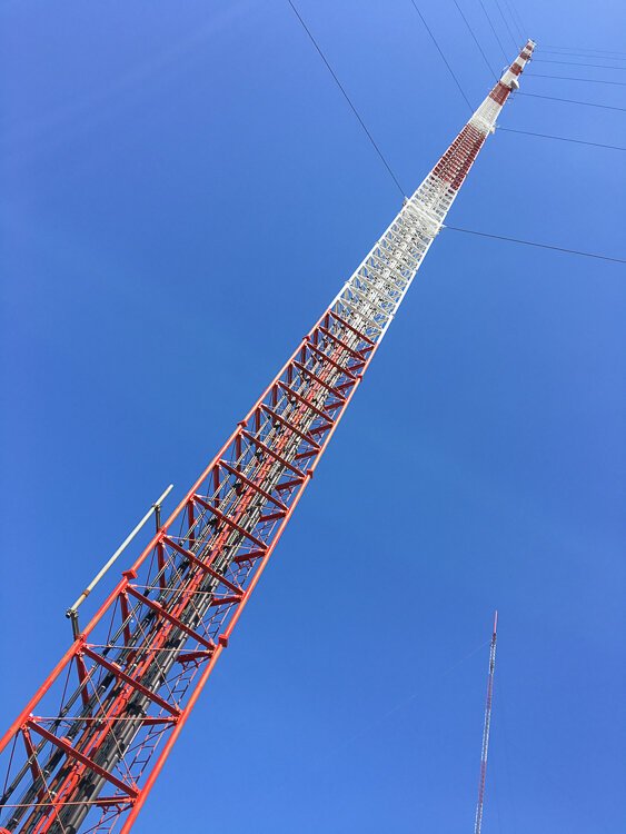 Gazing up from the tower's base is a pure joy.