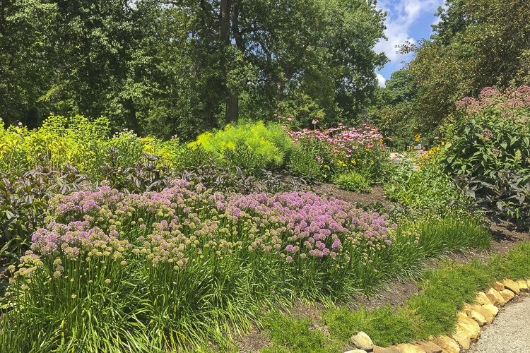 All purpose trail, Garfield Park Reservation.