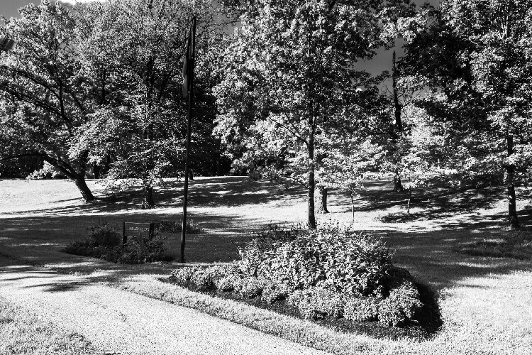 <span class="content-image-text">The African American Garden (1977) remained undeveloped until 2016 when the planning began for a three-phase project to tell the story of the past, present, and future of the African American community. Dedicated October 23, 1977.</span>