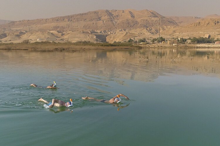 Film still from "Dead Sea Guardians" playing at the Chagrin Documentary Film Festival