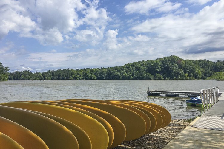 Standup paddleboards lined up and waiting along Hinckley Lake.