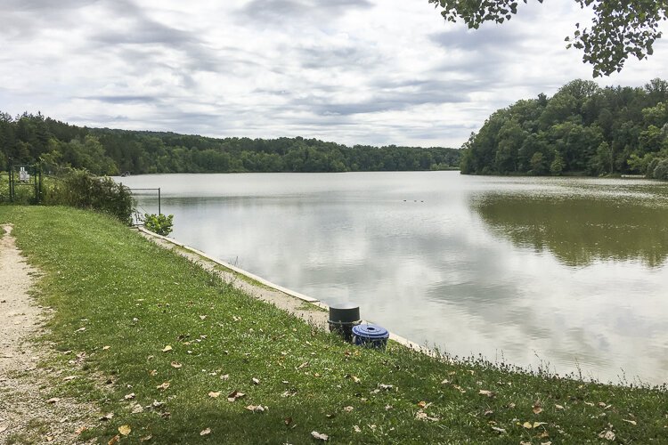 Ducks swim along a tranquil Hinckley Lake.