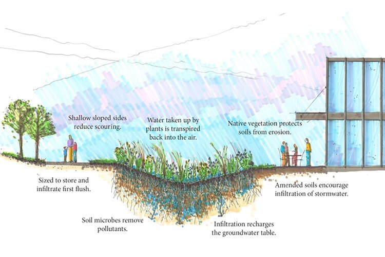 <span class="content-image-text">Bioswale illustration by Doug Adamson, RDG Planning & Design, provided by USDA-NRCS in Des Moines, Iowa</span>