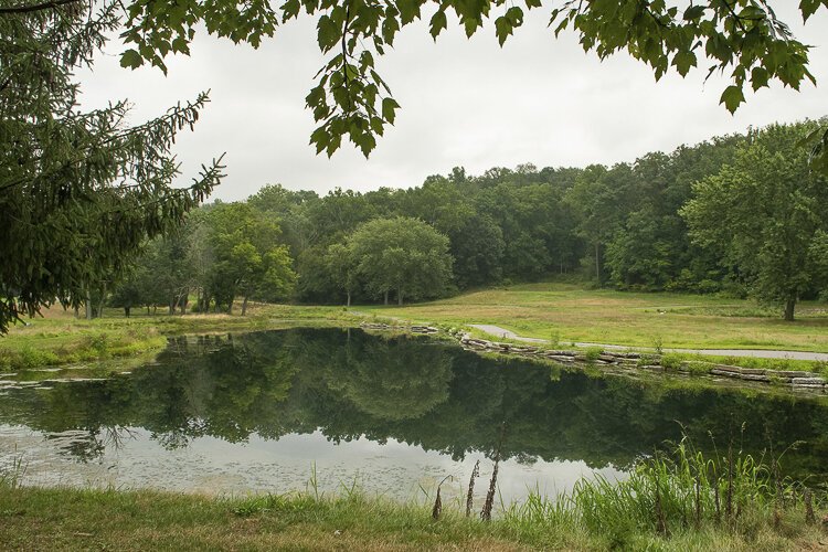 Projects like the one in the Bedford Reservation will facilitate the capture of millions of gallons of storm water runoff