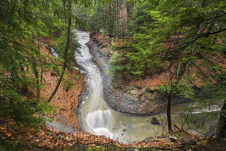 <span class="content-image-text">Projects like the one in the Bedford Reservation will facilitate the capture of millions of gallons of storm water runoff</span>