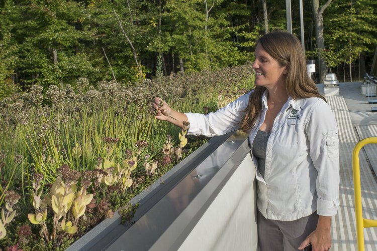 Green roof at the Watershed Stewardship Center