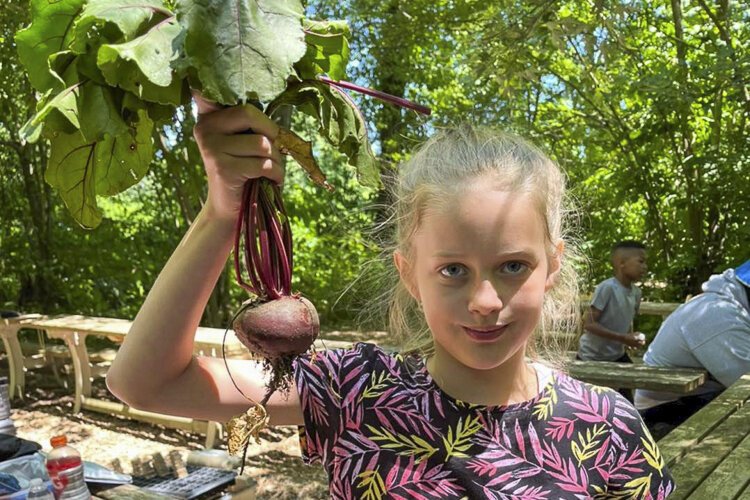 50 students from Save Our Children Elyria were at Spice Acres before the July 4 holiday to tour the farm and harvest produce from the Learning Garden.