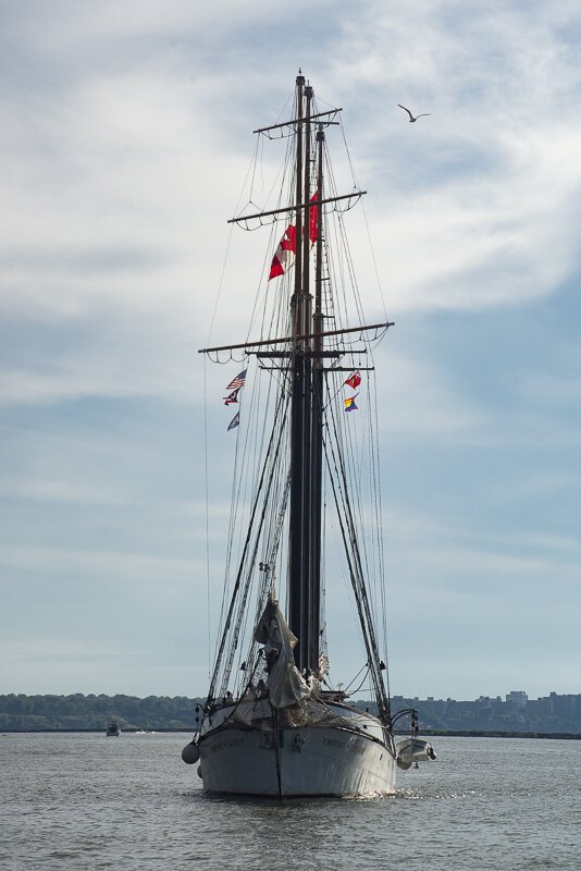 tall_ships--2022_421.jpg
