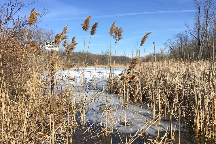 <span class="content-image-text">Wildlife refuge area.</span>