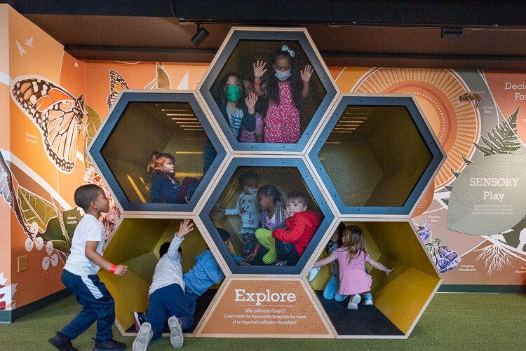 buzz around the beehive and pretend to live like a bee while climbing a larger-than-life honeycomb cluster.