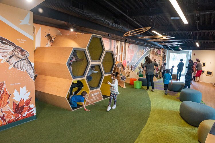 buzz around the beehive and pretend to live like a bee while climbing a larger-than-life honeycomb cluster.