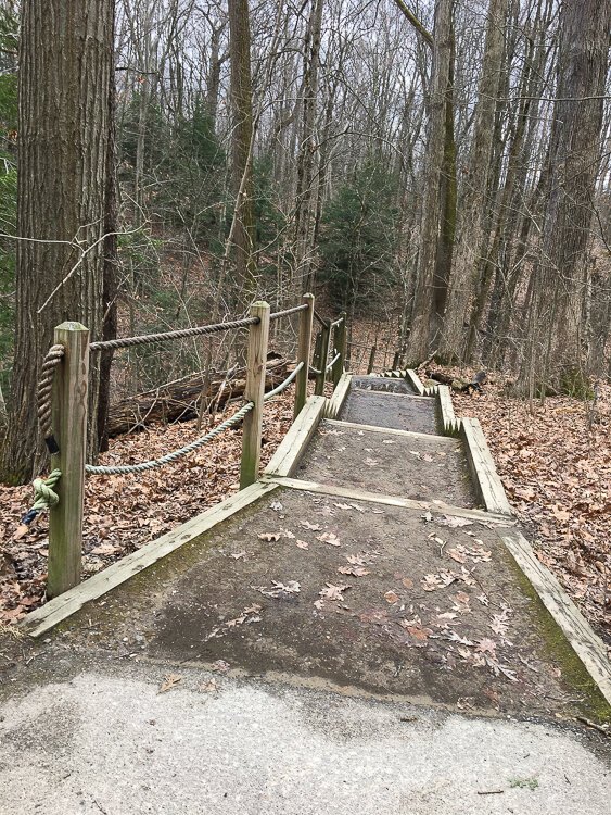 <span class="content-image-text">To get to the Deer Lick Loop from the nature center, it's 60 steps down ...</span>