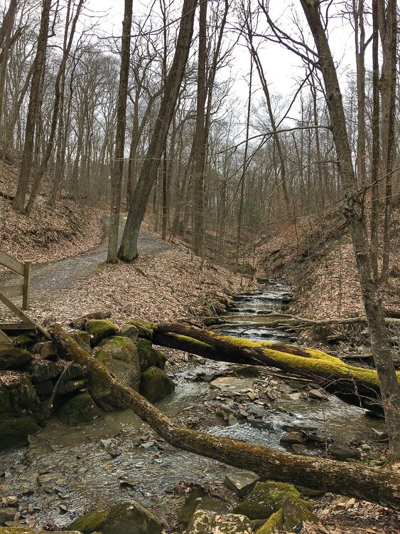 <span class="content-image-text">Many parts of the trail meander by bubbling creeks.</span>