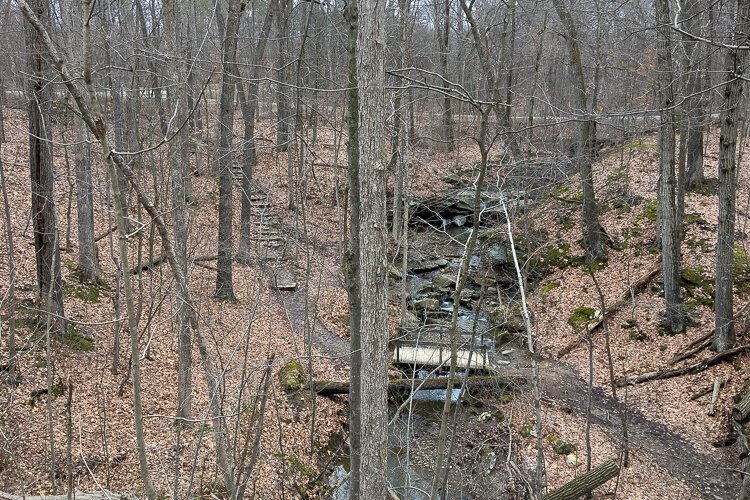 Bird's-eye view of the trail leading to Deer Lick Cave.