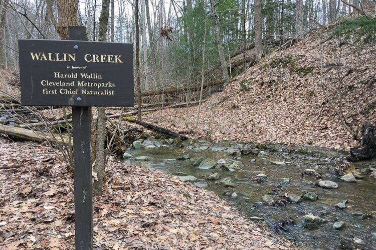 Wallin Creek.