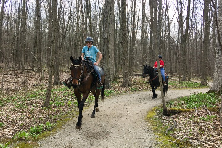 <span class="content-image-text">Sharing the trail in Hinckley Reservation</span>