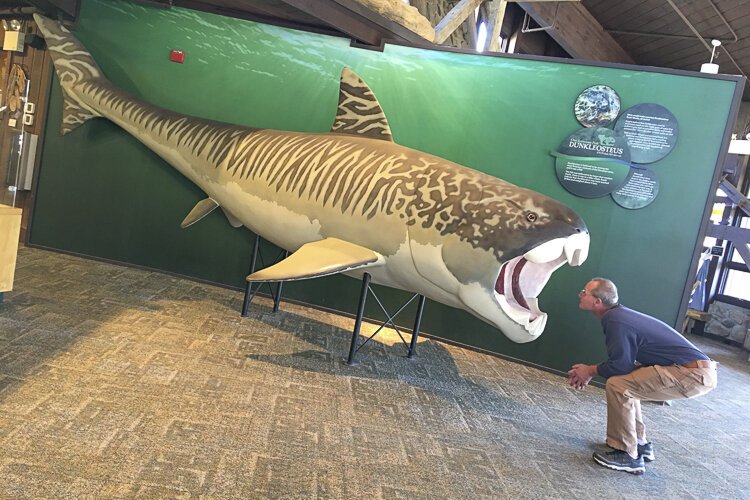 The author's husband inspects the resident Dunkleosteus.