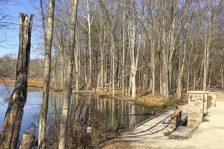 A quiet moment at West Channel Pond.
