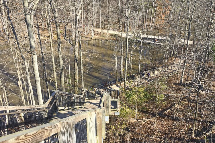 View from atop Fort Hill.