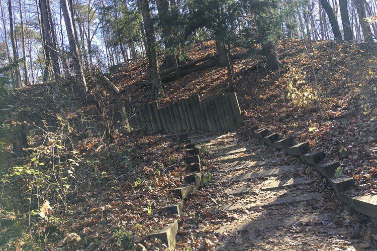 Rustic stairs on the north end of Fort Hill.