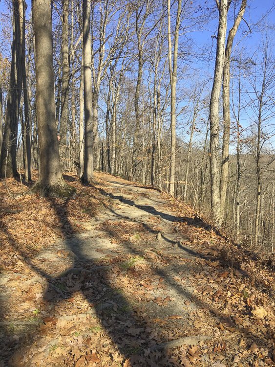 The trails edge perilously close to steep ravines.