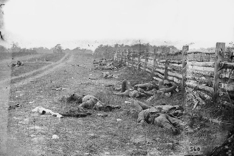 Photo by Alexander Gardner of Confederate soldiers dead by a fence at the Battle of Antietam, 1862