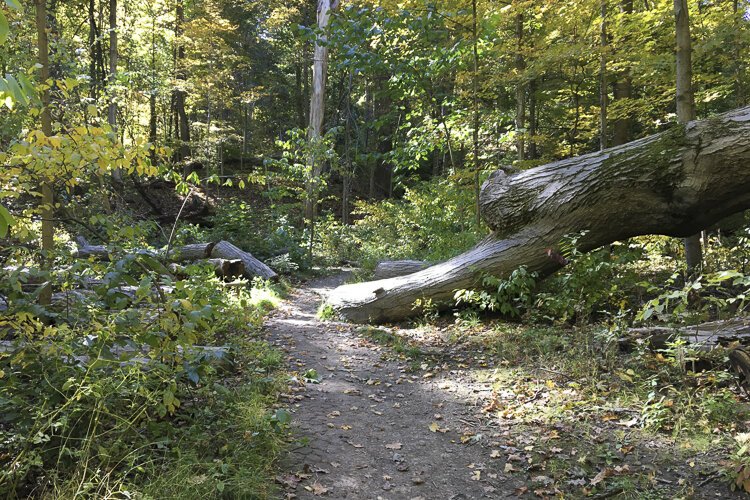 Hey! Did someone--or something--try to sabotage our trek?