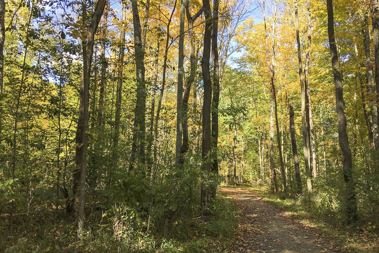 <span class="content-image-text">On the trail in the North Chagrin Reservation</span>