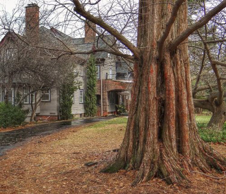 The 8,600 square-foot Shingle-style summer cottage called “Katewood” was constructed in 1900 for Albert and Katherine Holden.