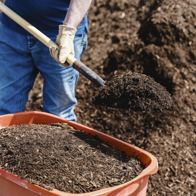 Rust Belt Rider hauls food waste from neighborhood homes and local businesses