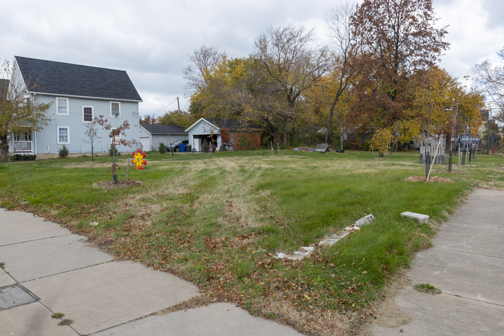 Studies show the health benefits of living in close proximity to green space