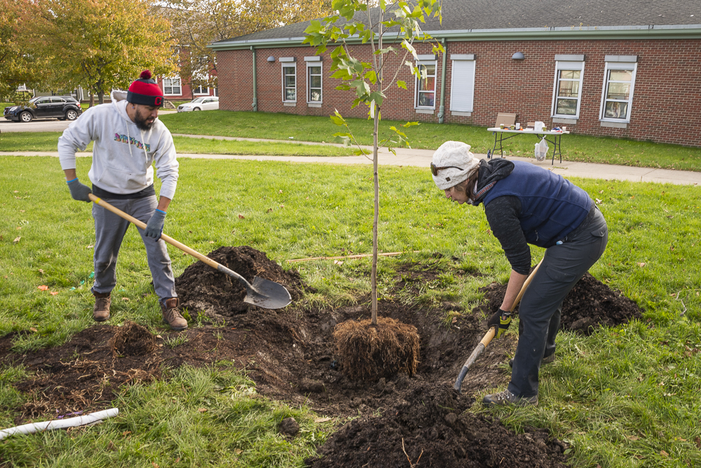 Trees provide many health benefits and improve the wellbeing of entire neighborhoods