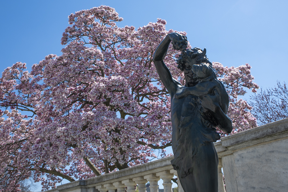 Cleveland Museum of Art