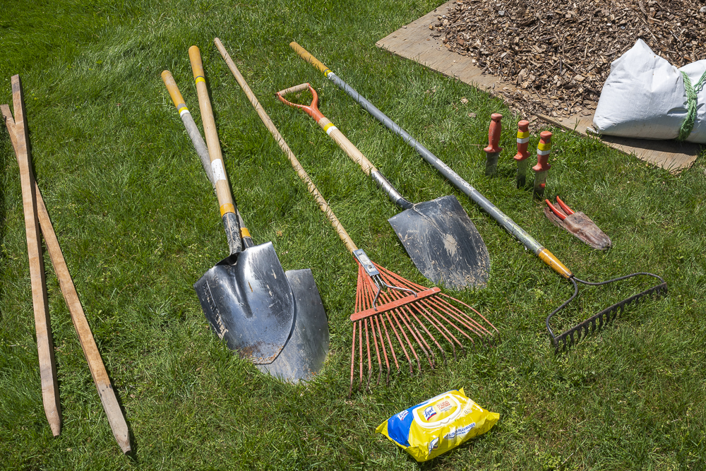 Arbor Day is the day set aside for the planting, upkeep, preservation, and celebration of trees