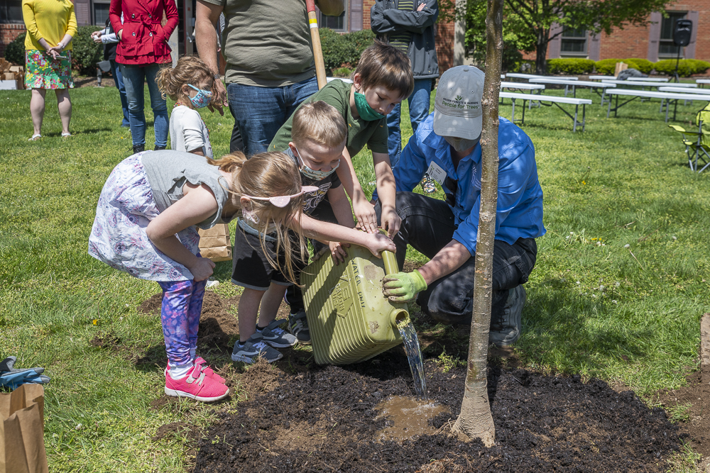 Make this the year you join in celebration of planting trees