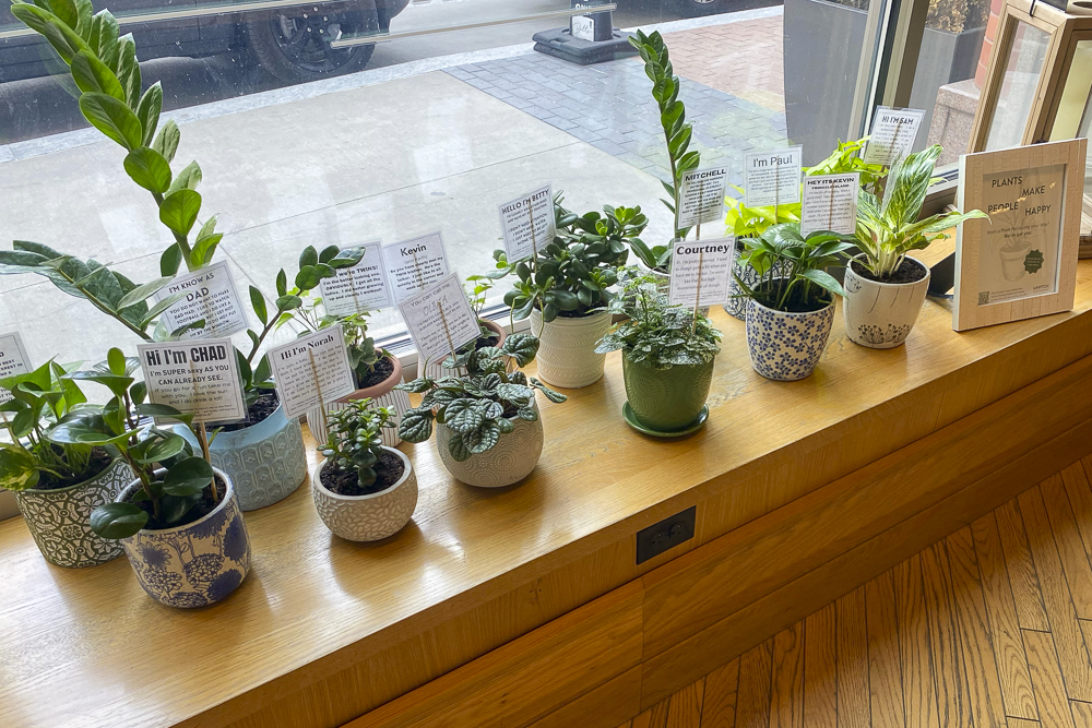 The Kimpton Schofield Hotel now offers its "Plant Pals Program"