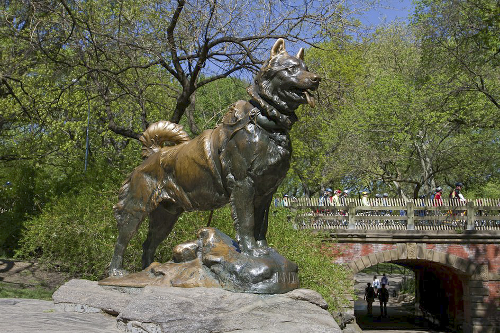 Balto statue stands on a rock outcropping in Central Park in New York since 1925