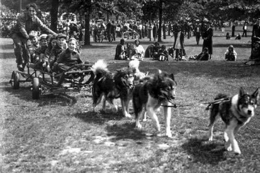 Balto and team at Cleveland’s Brookside Zoo