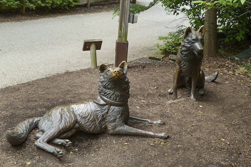 Statues of Balto and Togo were donated to the Cleveland Metroparks Zoo in 1997