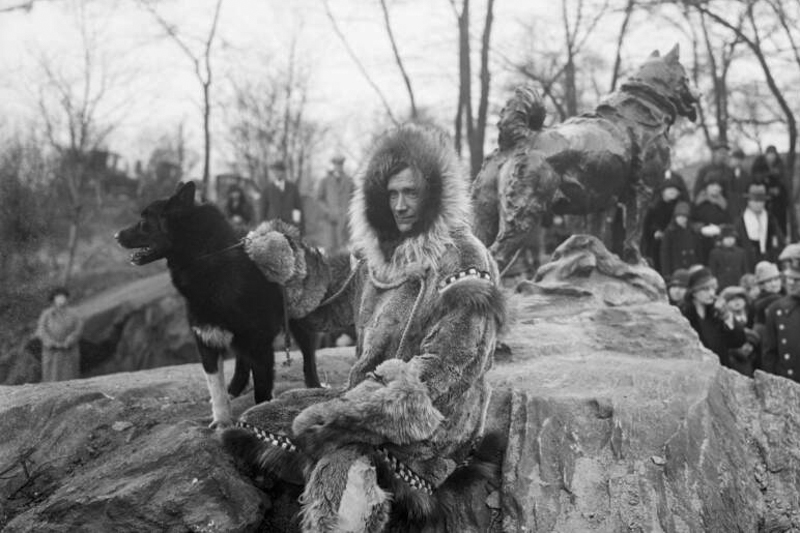 After his heroic actions, Balto the dog was honored with his own statue in Central Park