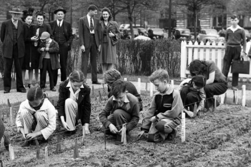 Seven students from Harvey Rice Elementary tend the Mall Victory Garden vegetables June 1, 1943