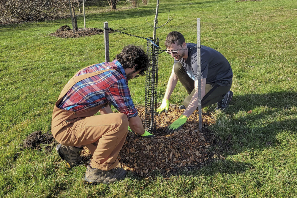 Sherwick Tree Stewards Program Planting Lab