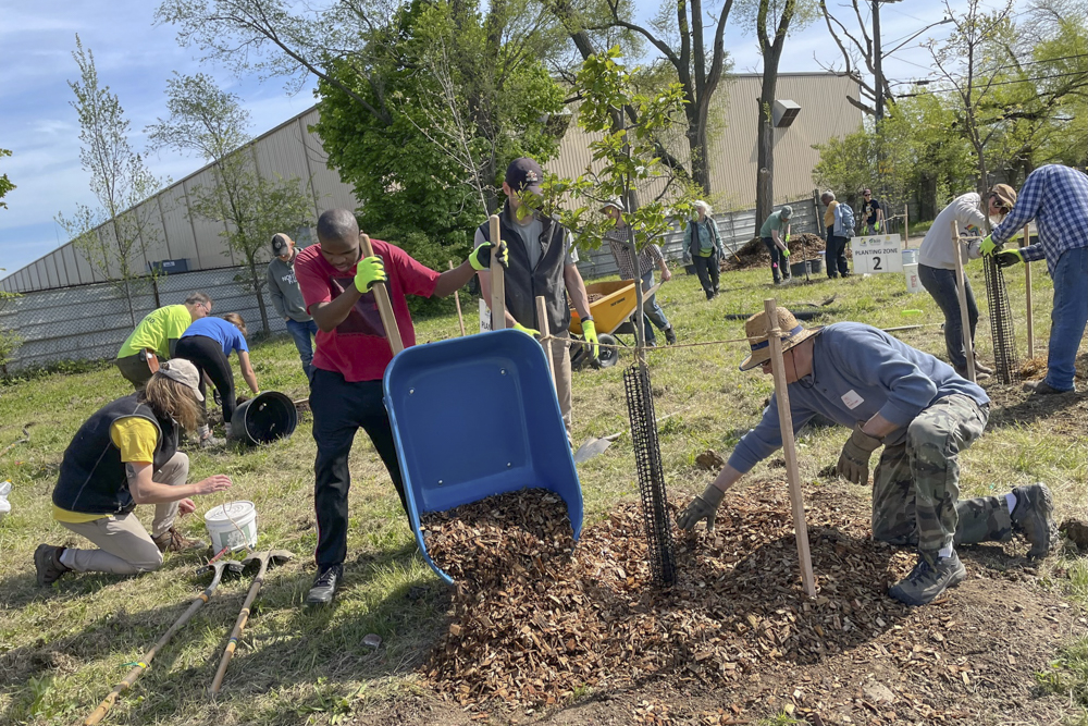 Sherwick Tree Stewards Program Planting Lab