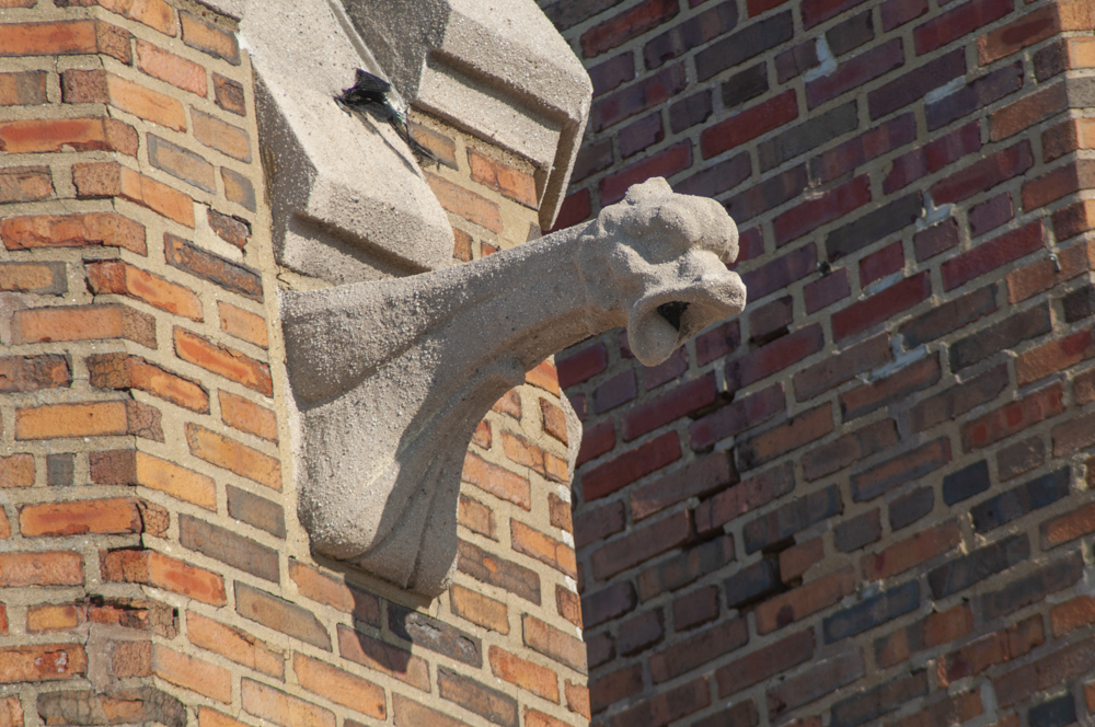 Tudor Arms gargoyle detail