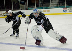 Lake Erie Monsters