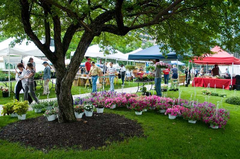 Cleveland_Clinic_Farmers_Mkt_309.jpg