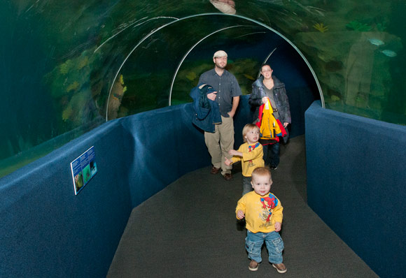 Greater Cleveland Aquarium